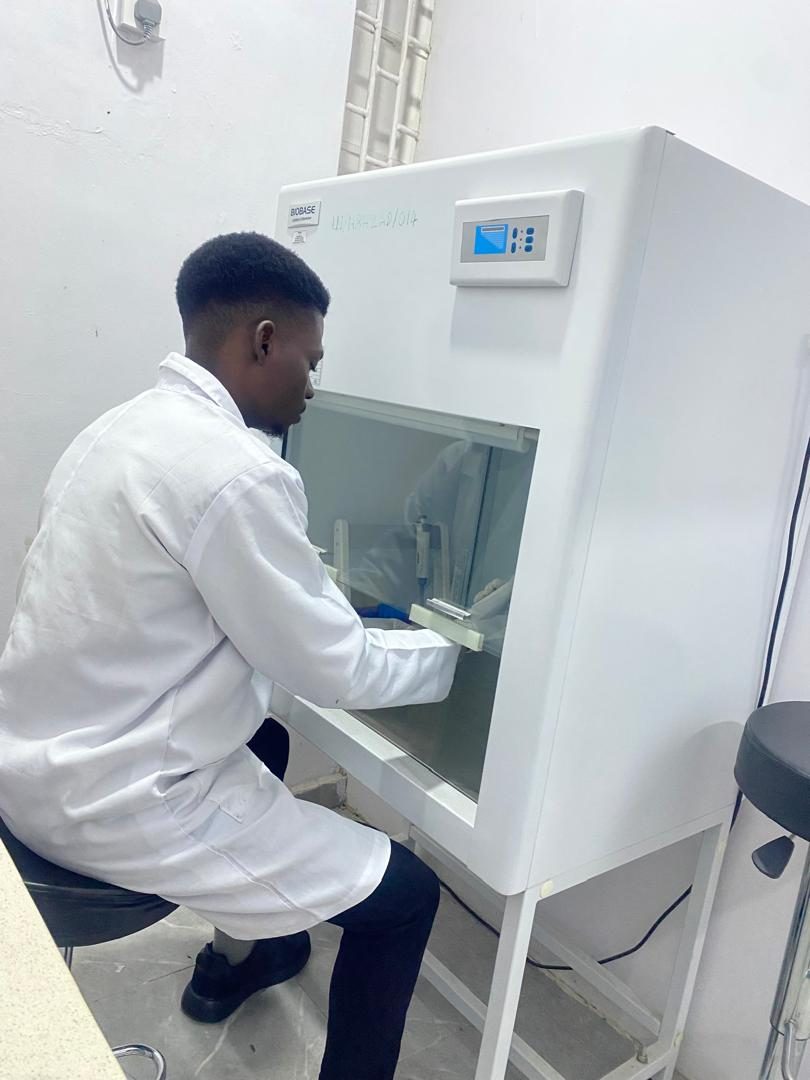 Researcher working inside a biosafety cabinet