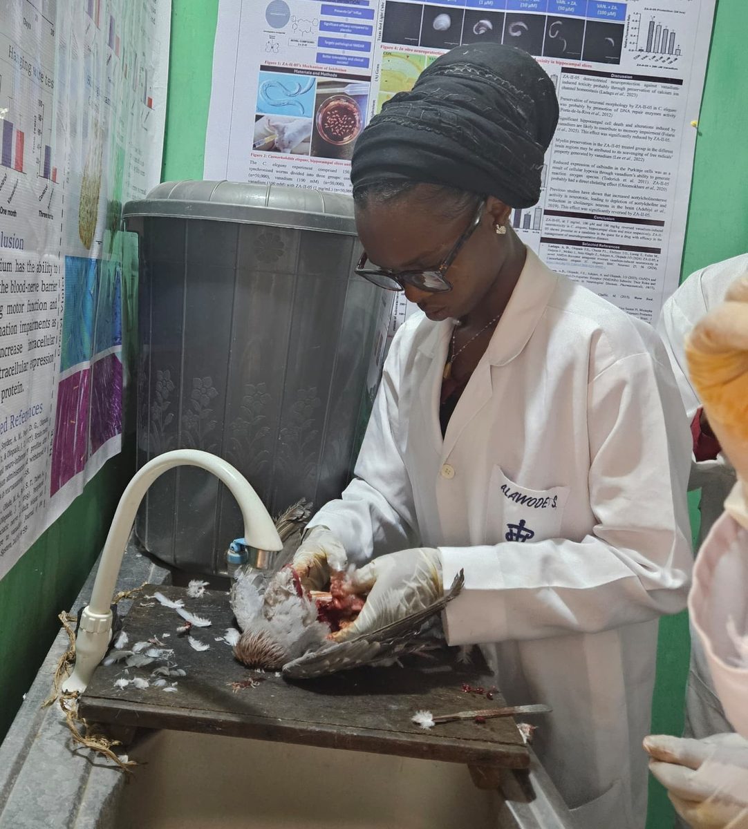 Researcher dissecting a specimen at the bench beside a lab poster