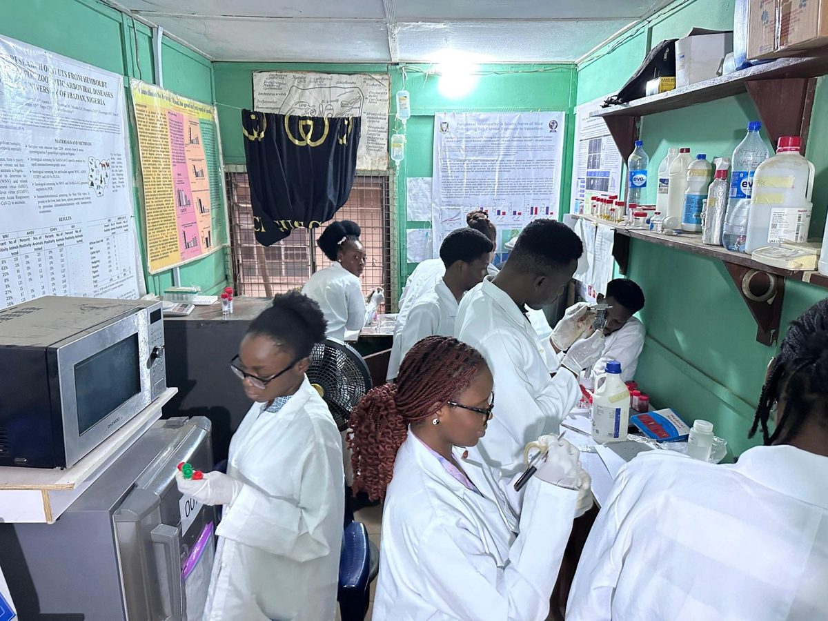 Lab members processing samples together at the bench