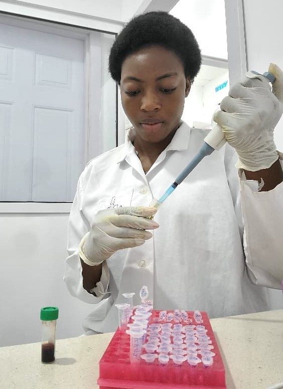 Researcher pipetting serum samples into a sample tray